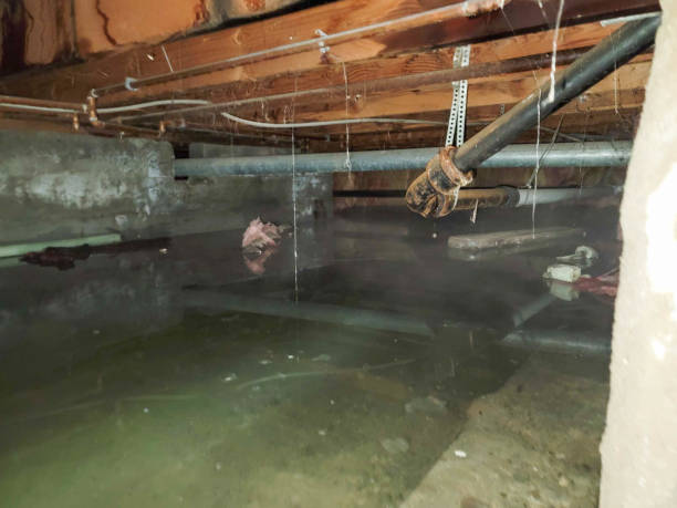 Best Wood Floor Water Damage Restoration in East Norwich, NY